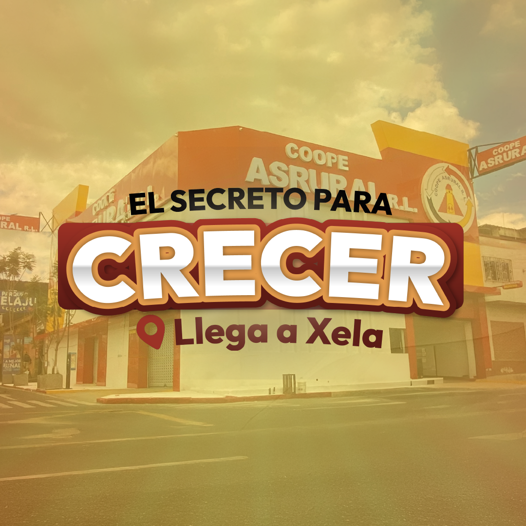 Campaña 2