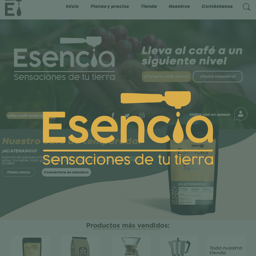 Iconic Proyecto 4